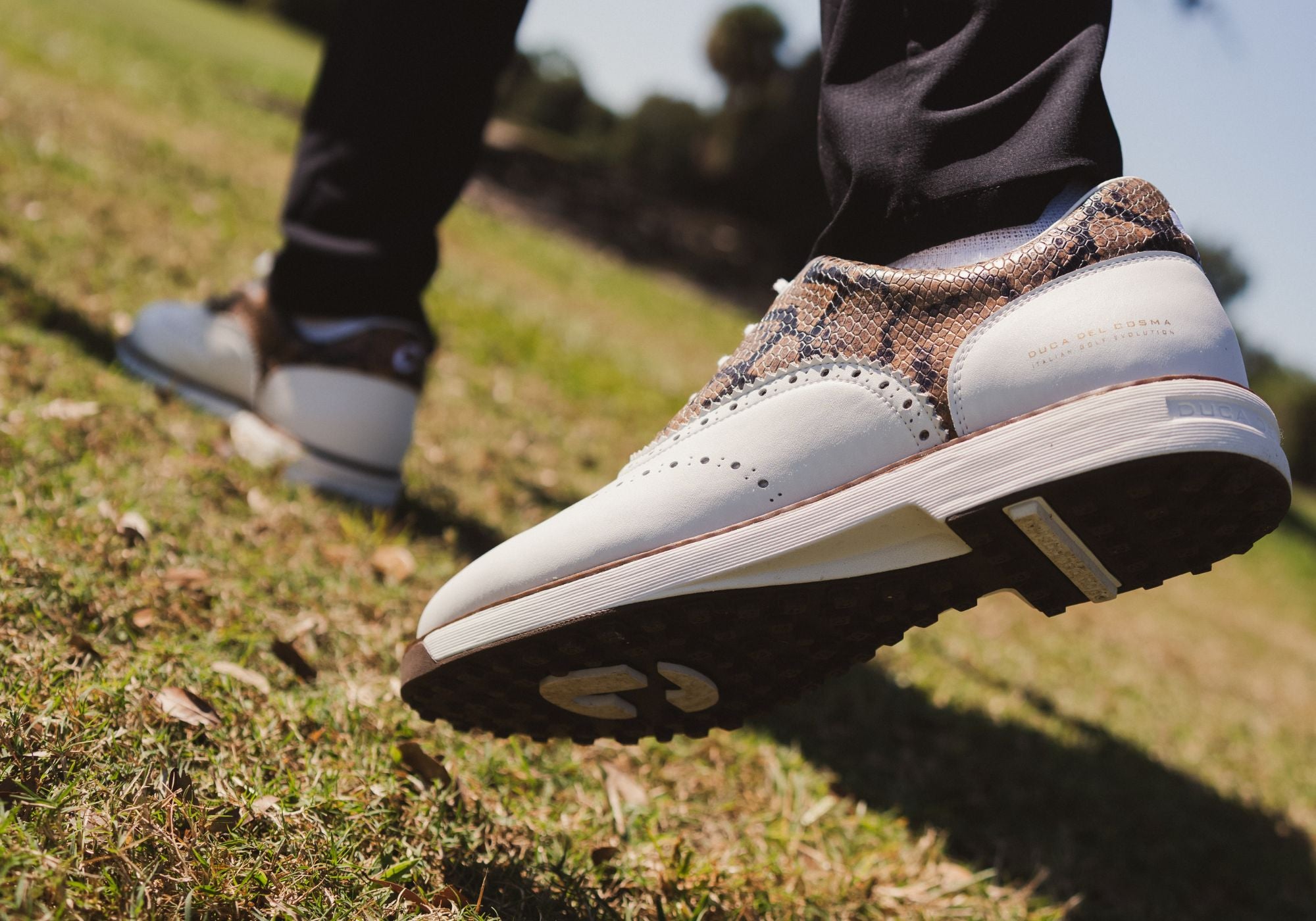 Men's Golf Shoes- New Collection